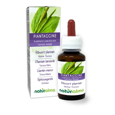Piantaggine Tintura madre 60 ml liquido analcoolico - Naturalma