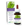 Piantaggine Tintura madre 60 ml liquido analcoolico - Naturalma