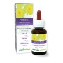Pilosella Tintura madre 60 ml liquido analcoolico - Naturalma