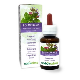 Pulmonaire officinale Teinture Mère 60 ml liquide sans alcool - Naturalma