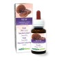 Reishi Tintura madre 60 ml liquido analcoolico - Naturalma