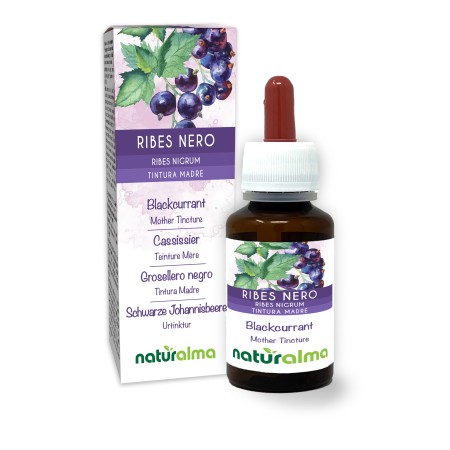 Ribes nero Tintura madre 60 ml liquido analcoolico - Naturalma