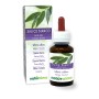 Salice bianco Tintura madre 60 ml liquido analcoolico - Naturalma