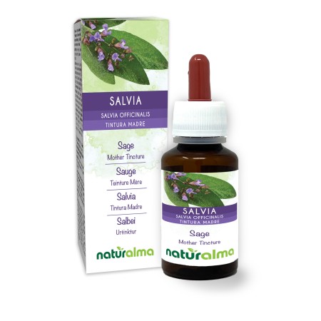 Salvia Tintura madre 60 ml liquido analcoolico - Naturalma