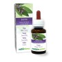 Szałwia Nalewka macierzysta 60 ml płyn bezalkoholowy - Naturalma