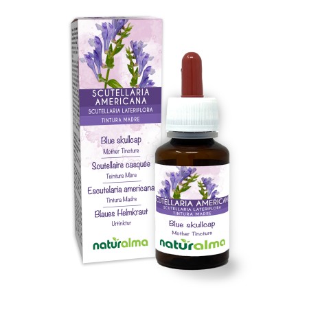 Scutellaria Americana Tintura madre 60 ml liquido analcoolico - Naturalma
