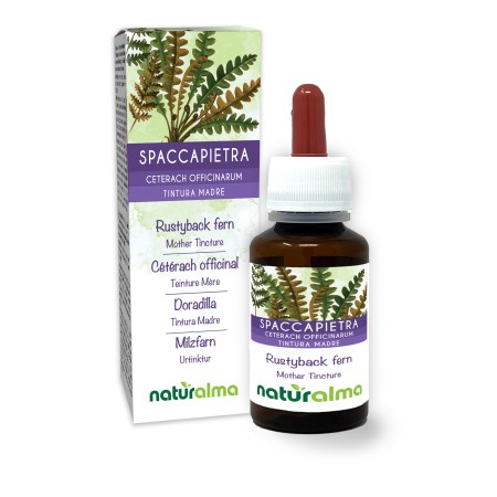 Spaccapietra Tintura madre 60 ml liquido analcoolico - Naturalma
