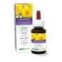 Löwenzahn Urtinktur 60 ml alkoholfreie Flüssigkeit - Naturalma