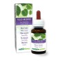 Tiglio Argenteo Tintura madre 60 ml liquido analcoolico - Naturalma