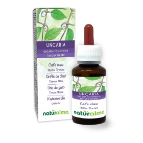 Cat's claw Mother tincture 60 ml alcohol-free liquid - Naturalma