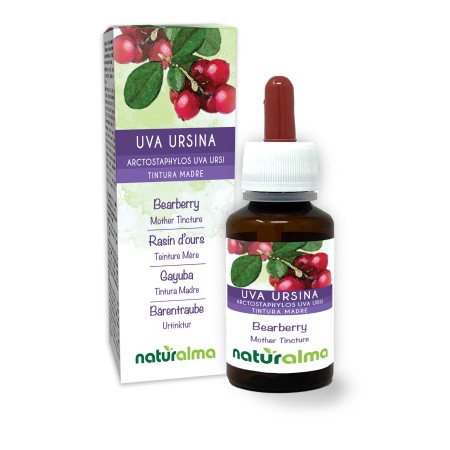 Uva Ursina Tintura madre 60 ml liquido analcoolico - Naturalma