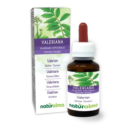 Valeriana Tintura madre 60 ml liquido analcoolico - Naturalma