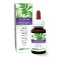Valeriana Tintura madre 60 ml liquido analcoolico - Naturalma