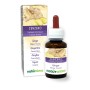 Zenzero Tintura madre 60 ml liquido analcoolico - Naturalma