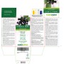 Sambuco nero 300 compresse (150 g) - Naturalma