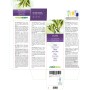 Olivo Tintura madre 200 ml liquido analcoolico - Naturalma