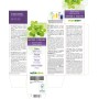 Bacopa o Brahmi Tintura madre 120 ml liquido analcoolico - Naturalma