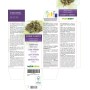 Lichene Islandico Tintura madre 120 ml liquido analcoolico - Naturalma