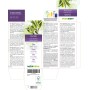 Olivo Tintura madre 120 ml liquido analcoolico - Naturalma