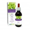 Bacopa Teinture Mère 120 ml liquide sans alcool - Naturalma