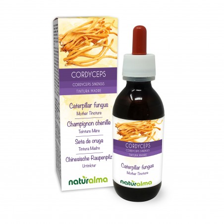 Cordyceps Urtinktur 120 ml alkoholfreie Flüssigkeit - Naturalma