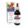 Gewöhnliche Berberitze Urtinktur 120 ml alkoholfreie Flüssigkeit - Naturalma