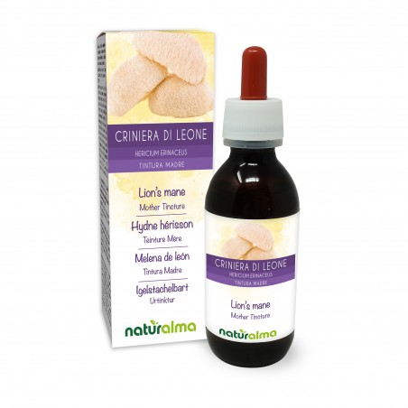 Pruikzwam Moedertinctuur 120 ml alcoholvrije vloeistof - Naturalma