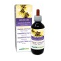 Amamelide Tintura madre 200 ml liquido analcoolico - Naturalma