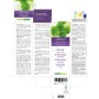 Gotu kola Mother tincture 200 ml alcohol-free liquid - Naturalma