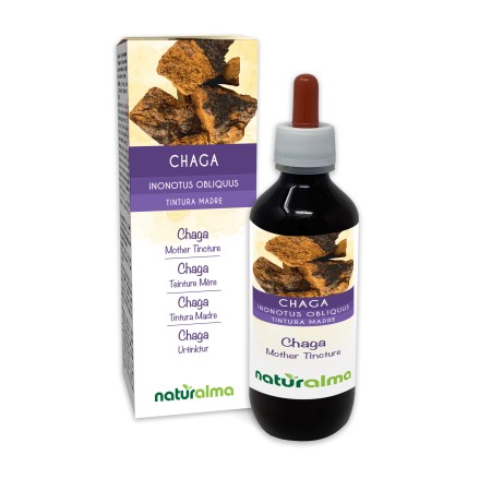 Chaga Tintura madre 200 ml liquido analcoolico - Naturalma