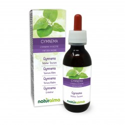 Gymnema Urtinktur 120 ml alkoholfreie Flüssigkeit - Naturalma