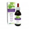 Gymnema Urtinktur 120 ml alkoholfreie Flüssigkeit - Naturalma