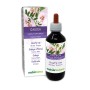 Galega Tintura madre 200 ml liquido analcoolico - Naturalma