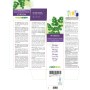 Moringa Tintura madre 200 ml liquido analcoolico - Naturalma