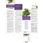 Lungenkraut Urtinktur 200 ml alkoholfreie Flüssigkeit - Naturalma