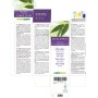 White willow Mother tincture 200 ml alcohol-free liquid - Naturalma