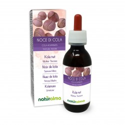 Kola nut Mother tincture 120 ml alcohol-free liquid - Naturalma