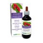 Schisandra Tintura madre 200 ml liquido analcoolico - Naturalma