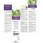 Gemeiner Beifuß Urtinktur 120 ml alkoholfreie Flüssigkeit - Naturalma