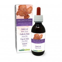 Oreille de Judas Teinture Mère 120 ml liquide sans alcool - Naturalma