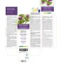 Mariendistel Urtinktur 120 ml alkoholfreie Flüssigkeit - Naturalma
