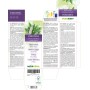 Cimicífuga Tintura Madre 120 ml líquido sin alcohol - Naturalma