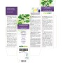 Koriander Urtinktur 120 ml alkoholfreie Flüssigkeit - Naturalma