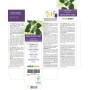 Klimop Moedertinctuur 120 ml alcoholvrije vloeistof - Naturalma