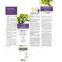 Fucus vésiculeux Teinture Mère 120 ml liquide sans alcool - Naturalma