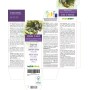 Kombu o Kelp Tintura madre 120 ml liquido analcoolico - Naturalma