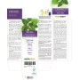 Melisse Urtinktur 120 ml alkoholfreie Flüssigkeit - Naturalma