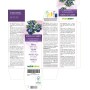 Heidelbeere Urtinktur 120 ml alkoholfreie Flüssigkeit - Naturalma