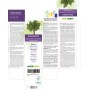Rhabarber Urtinktur 120 ml alkoholfreie Flüssigkeit - Naturalma