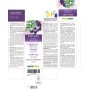 Schwarze Johannisbeere Urtinktur 120 ml alkoholfreie Flüssigkeit - Naturalma
